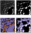 Pictured, the same image shown using different methods of analysis. a) Raw electron microscopy image. b) Image showing defects (white) as labelled by a human expert. c) Image showing defects (white) as labelled by a Fourier transform method, which breaks up an image into its frequency spectrum and requires manual tuning. d) Image showing defects (white) labelled by the optimal neural network. Defects that don’t exist are shown in purple, and defects that weren’t identified are shown in orange. In mere hours, the team created a neural network that performed as well as a human expert, demonstrating MENNDL’s ability to reduce the time to analyze electron microscopy images by months. @ ORNL