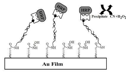 Gold SPR sensor chips