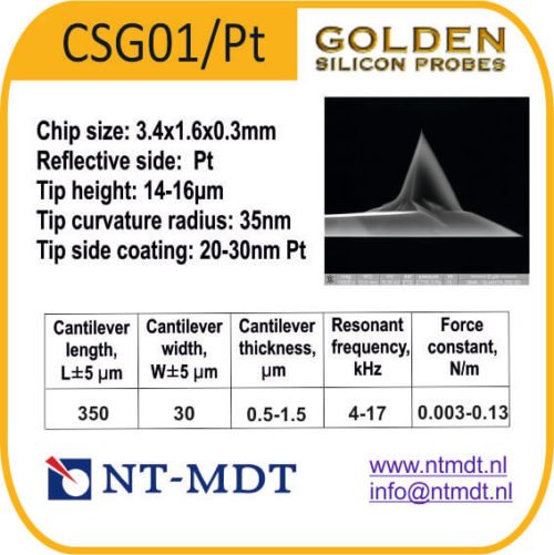 CSG01/Pt