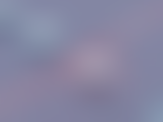 Novel whispering-gallery-type sensor for single nanoparticle detection