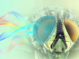 Researchers 3D print metamaterials with novel optical properties