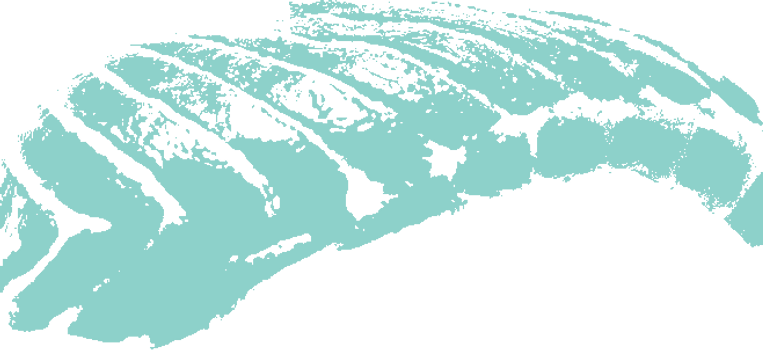 uyg8y7ugyoi.png