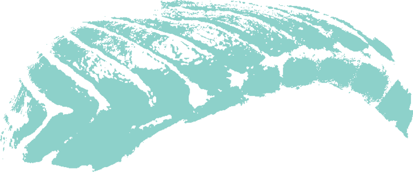 uyg8y7ugyoi.png