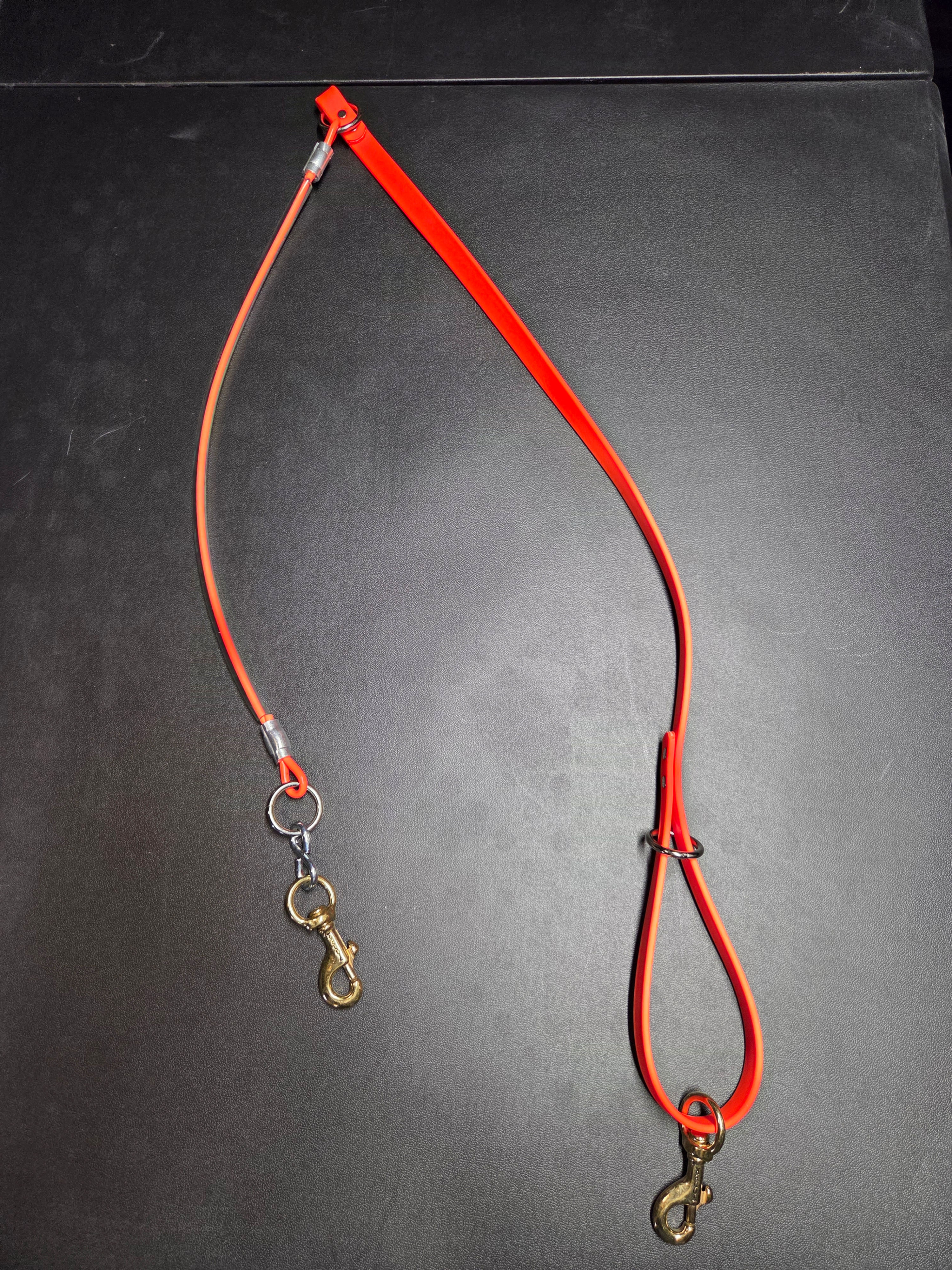 Beta & Cable Dog Leash