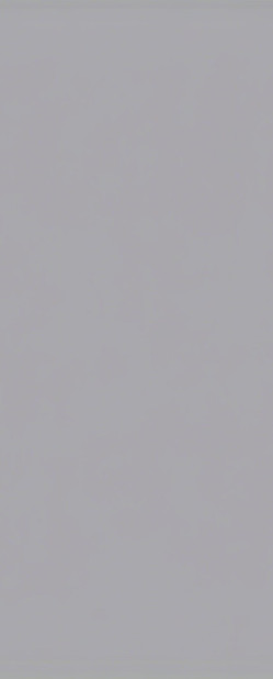 grey background_edited.jpg