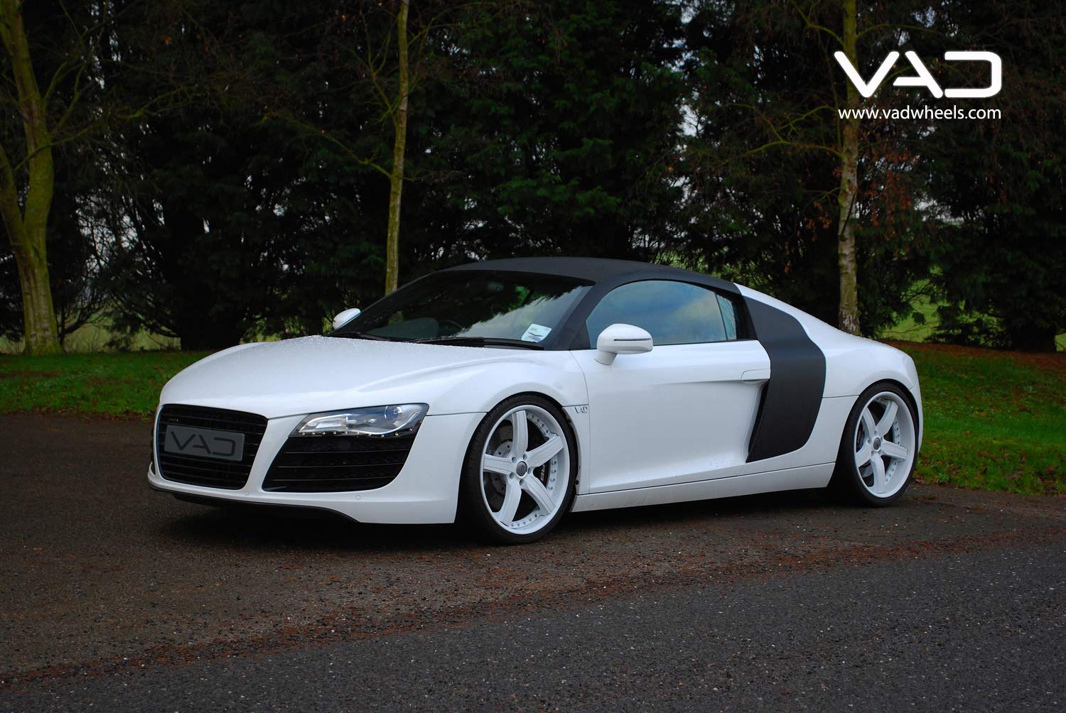 Audi-R8-20''-Trafficstar-STR-White-Front-Shot