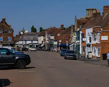 Waglee a dog walker in West Malling Kent -2.webp