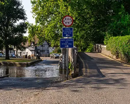 Waglee a dog walker in Eynsford Kent -1.webp