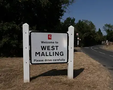 Waglee a dog walker in West Malling Kent -1.webp