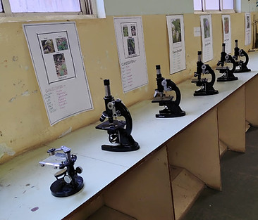 WhatsApp Image 2025-01-31 at 11.09.48_a3a64a0d.jpg