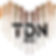 Tauton Diversity Network