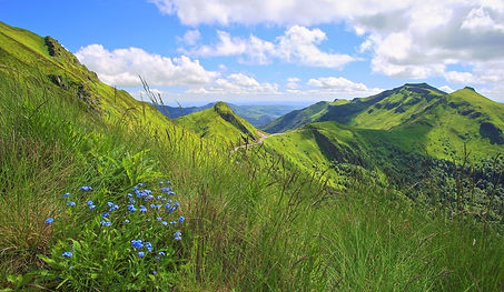 sancy 2.jpg