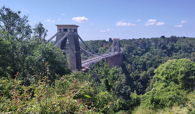 Ausblick über einige Bäume eine lange Brücke