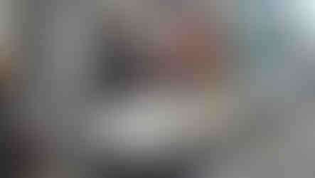 VW Käfer mit roter Pferdefigur auf dem Dach.