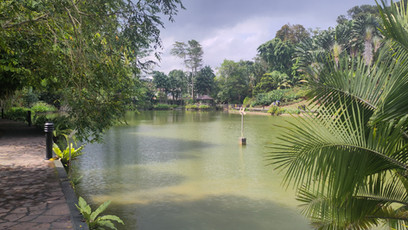 See im botanischen Garten