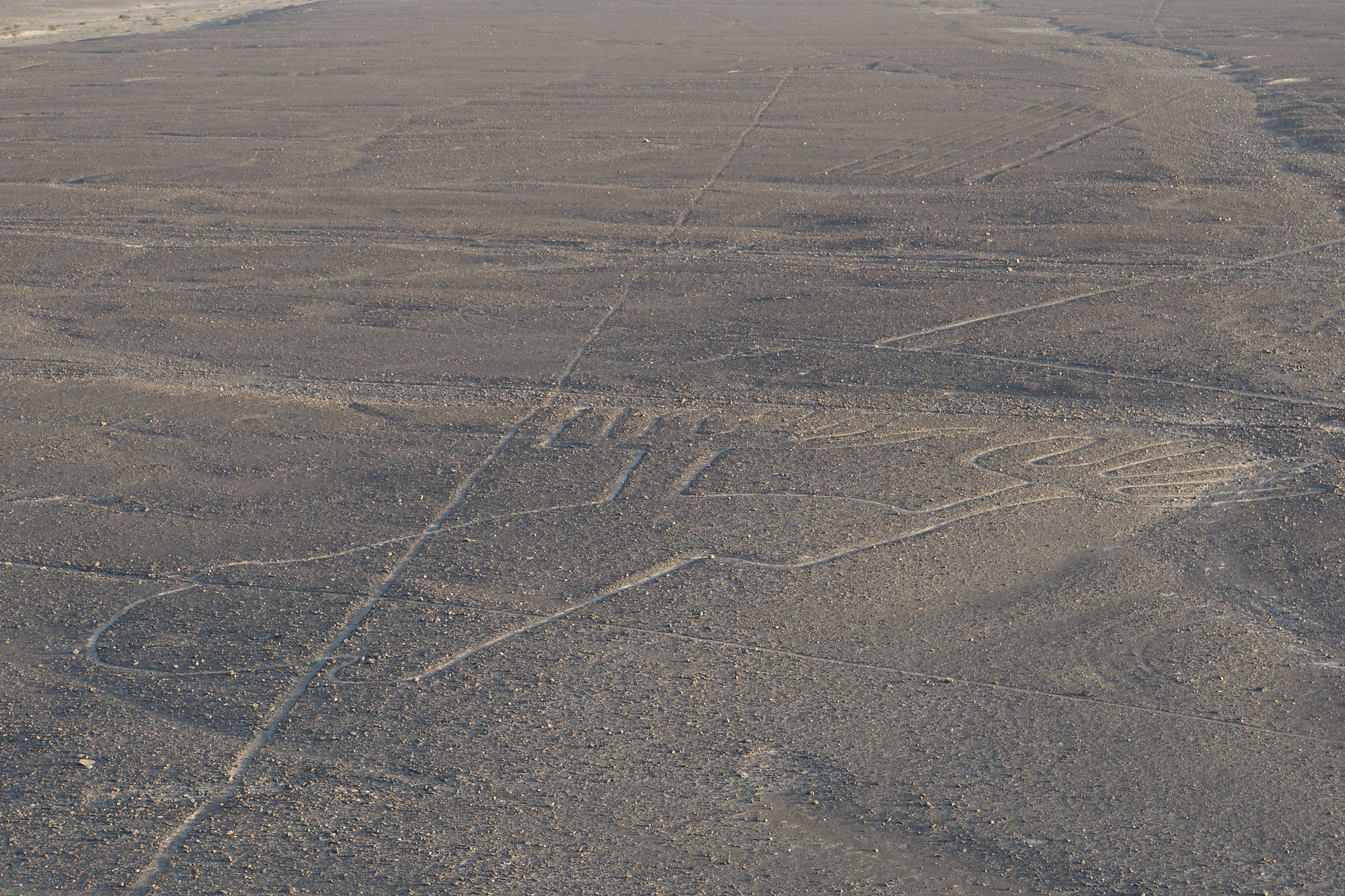 Scharrbild bei Nazca