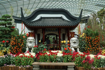 Flower Dome ganz im Zeichen des chinesischen Neujahrsfests