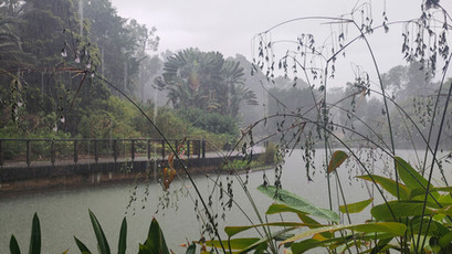 Regenguss vom allerfeinsten