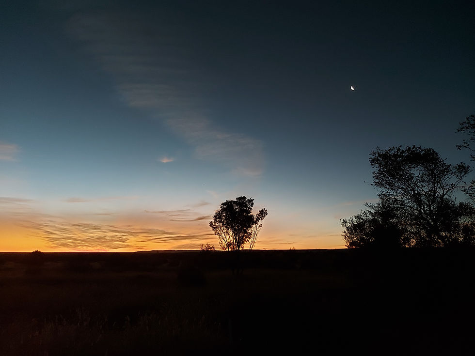 Sonnenuntergang im Outback