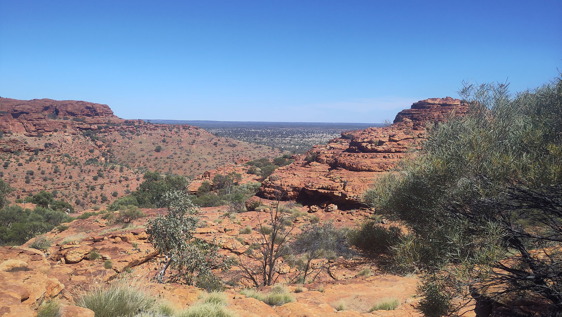 Blick über den Kings Canyon