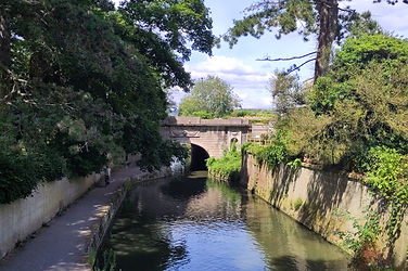 schmaler Kanal, in dem sich der Himmel spiegelt, gesäumt von Bäumen