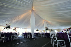 PA Wedding Tent  Purple Perfection.jpg