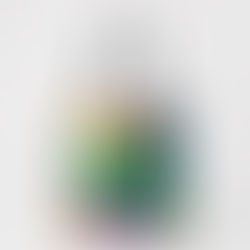 There is a 50% off totebag sale you can trick or treat with at cherarttsy.com