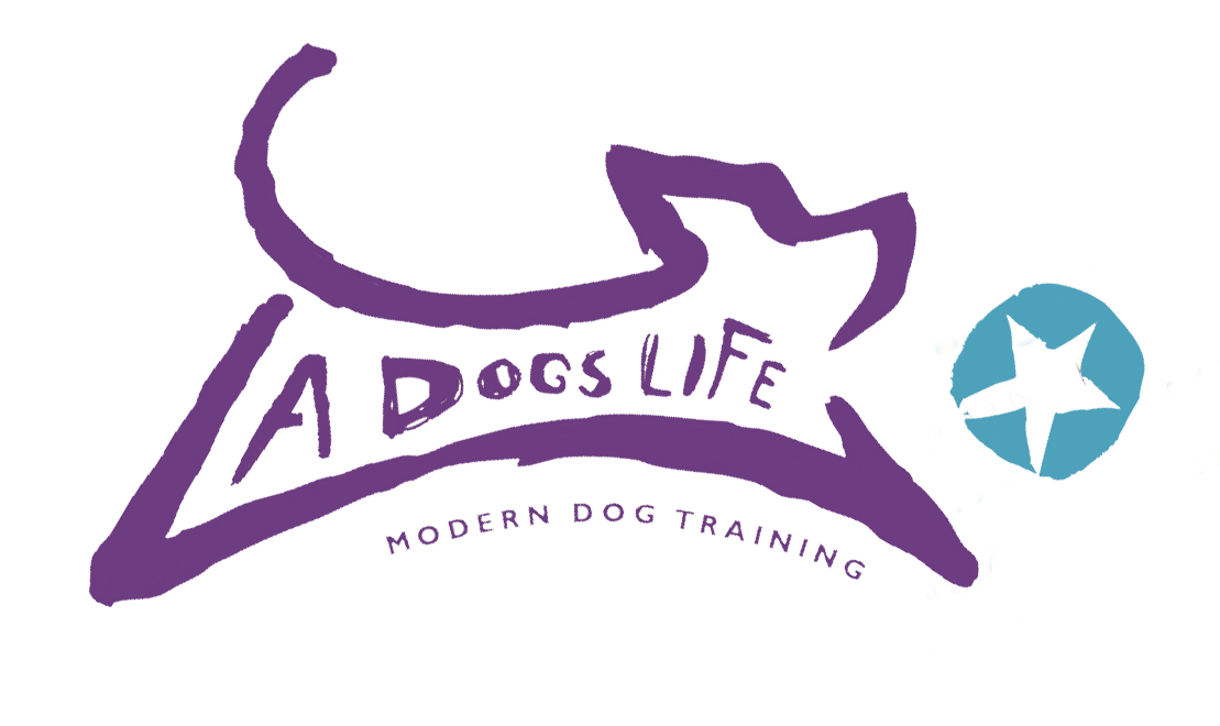 Dog Training In Wilmington NC and Jacksonville NC. A Dogs Life Inc.