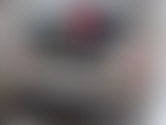 RuffLand vs. The Competition: An Honest Comparison of Premium Dog Kennels