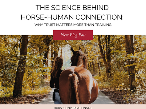 The Science Behind Horse-Human Connection: Why Trust Matters More Than Training