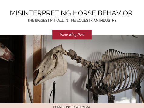 How Misinterpreting Horse Behavior Causes Suffering