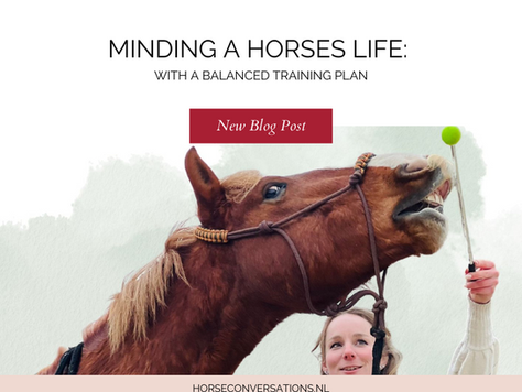 Minding a horses life