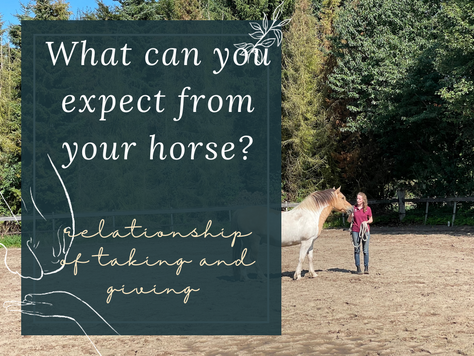 What can you expect from your horse?