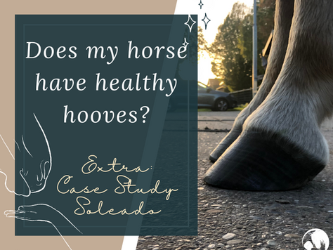 Does my horse have healthy hooves?
