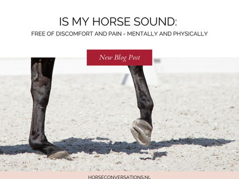 Is my horse sound?