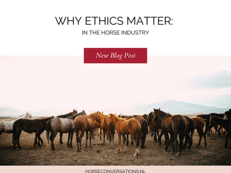 Why Ethics Matter in the Horse Industry