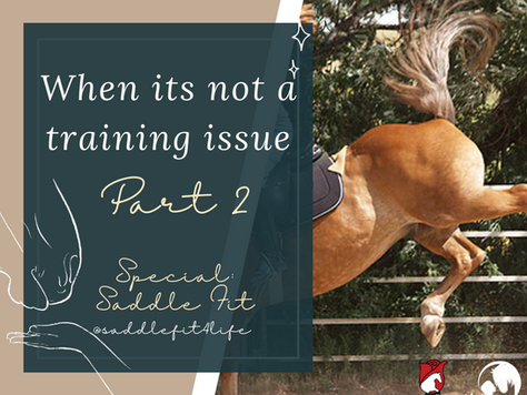When its not a training issue - Part 2