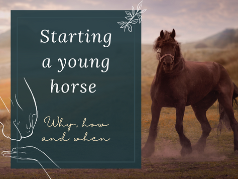 Starting a young horse