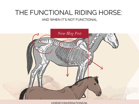 The functional riding horse
