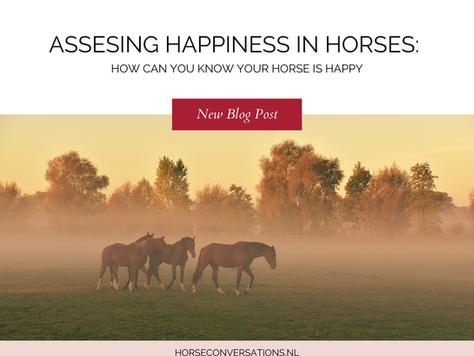 Assessing happiness in horses