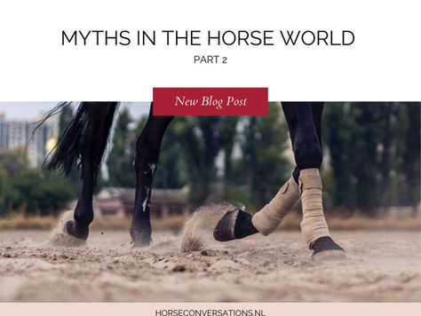 Myths of the horse world Part 2