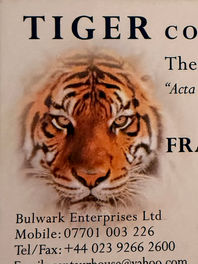Business Consultancy