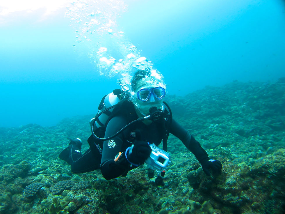 okinawa diving