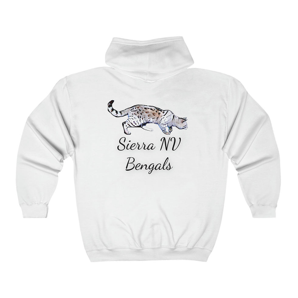 Thumbnail: Unisex Heavy Blend™ Full Zip Hooded Sweatshirt