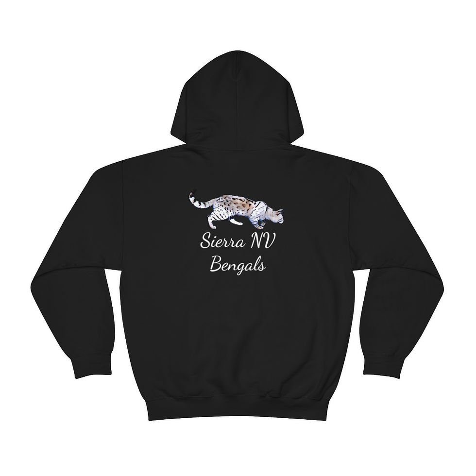 Thumbnail: Unisex Heavy Blend™ Hooded Sweatshirt