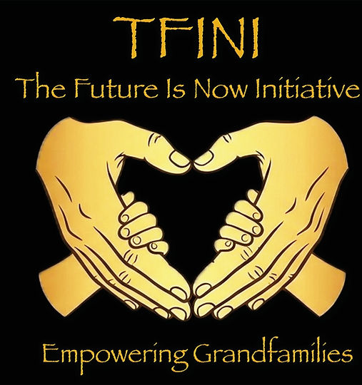 2025 Gemini TFINI Logo_edited_edited.jpg