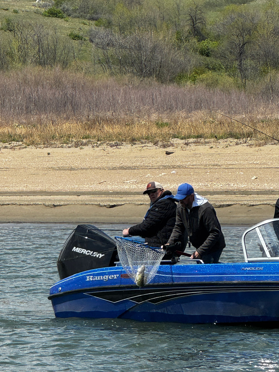 Two men on a blue Ranger fishing boat net a fish on a river, with Mercury and Angler visible, shore and brush behind.