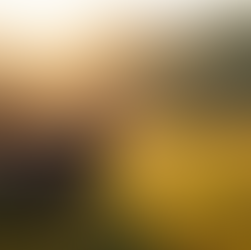 Discover Shamanic Practices for Personal Growth