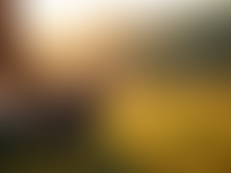 Discover Shamanic Practices for Personal Growth