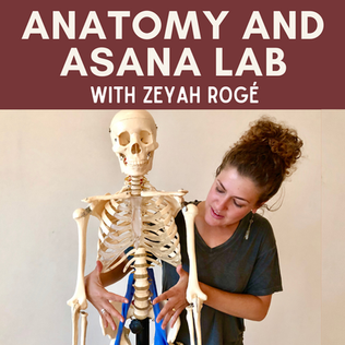 Anatomy + Asana Lab